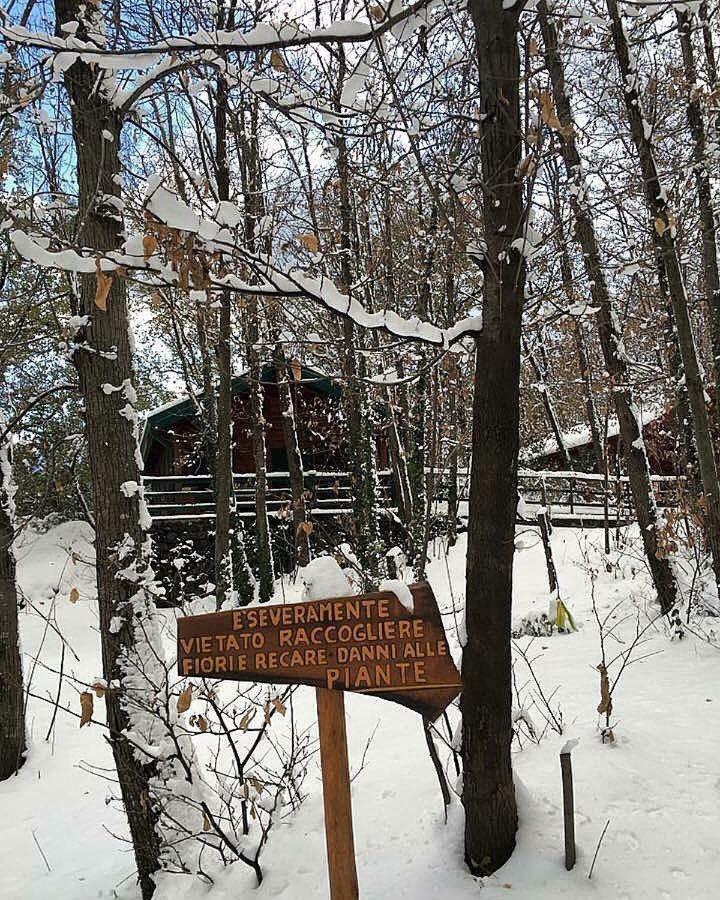 Chalet Etna Мило Екстериор снимка