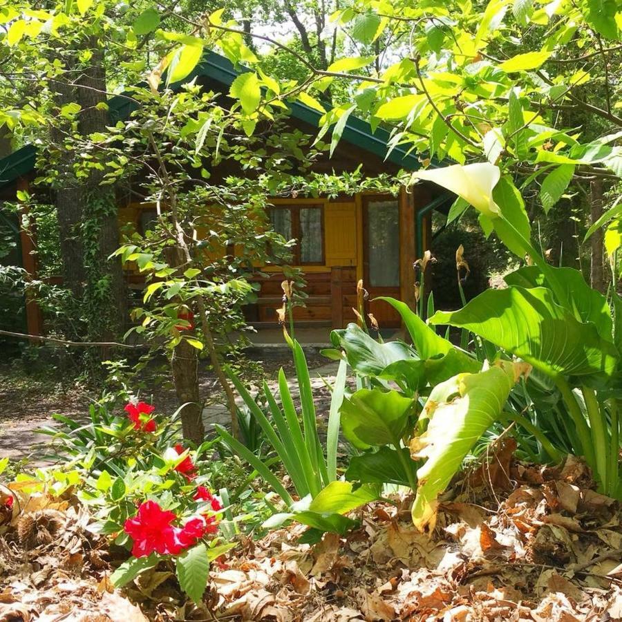 Chalet Etna Мило Екстериор снимка